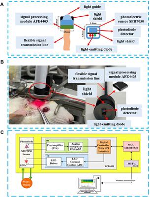 Portable flexible probe for detecting blood supply status in clinical surgery